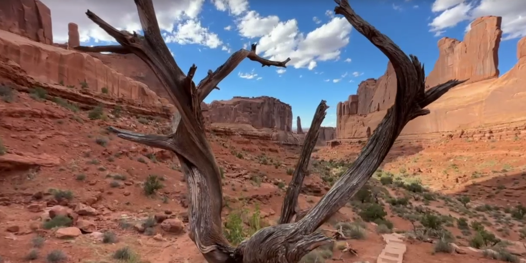 Zion National Park Fatality: Institutional Risk Assessment of Angels Landing Operations