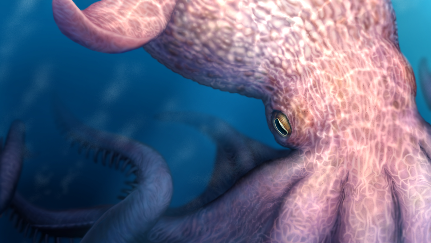 Cretaceous Kraken Discovery Reshapes Apex Predator Narrative