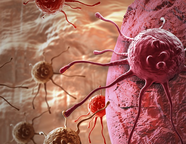 Comparative Feline Genomics: A Strategic Pivot in Precision Oncology
