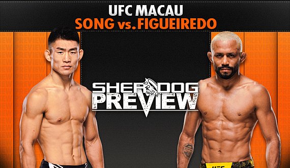 Alex Perez: The Intersection of Flyweight Evolution and UFC Global Strategy