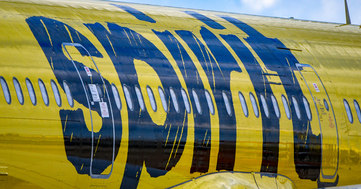 The Economics and Regulatory Hurdles of the Spirit Airlines Crowdfunding Bid