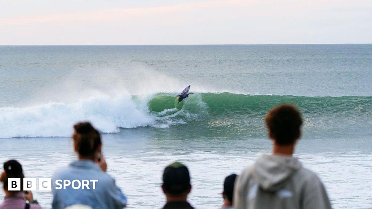 WSL New Zealand Pro Halted: Marine Wildlife Injury Triggers 'Code Red,' Tests Event Safety