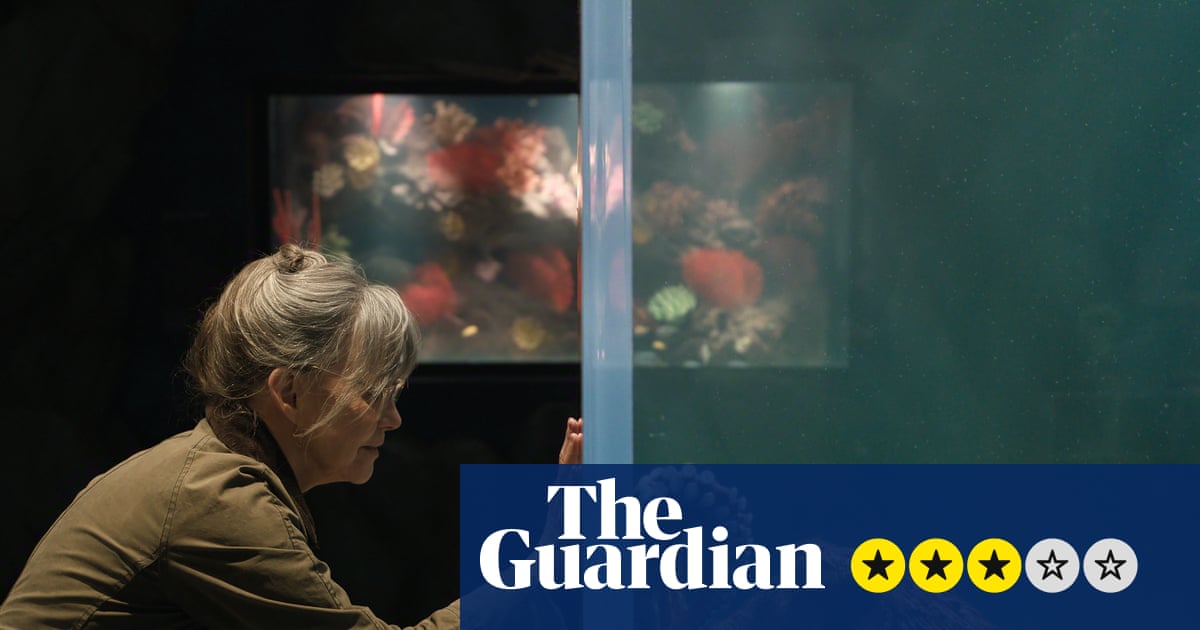 Sally Field Anchors Netflix’s 'Remarkably Bright Creatures' Adaptation: A Strategic IP Analysis