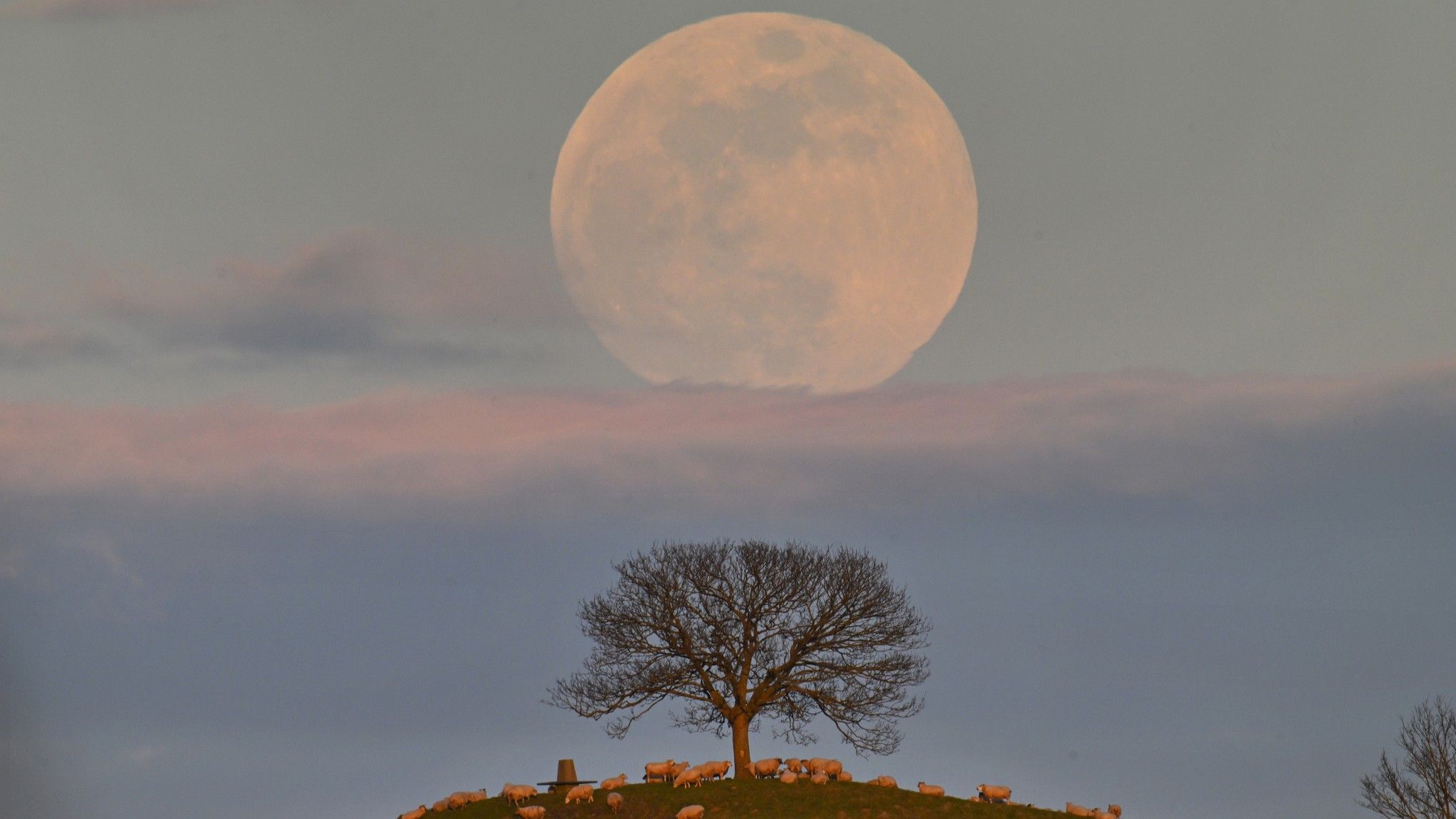 Rare Blue Micromoon Marks Celestial Cycle Culmination: Analysis and Significance