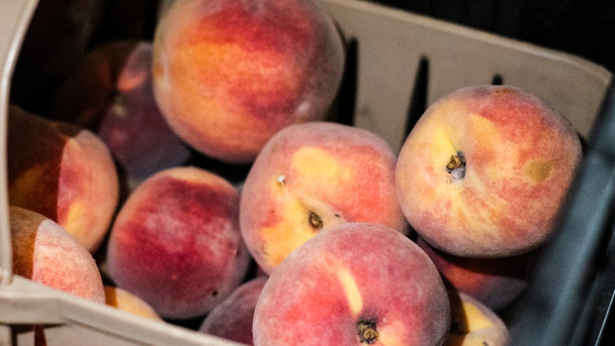 California Peach Industry Collapses as Del Monte Bankruptcy Triggers Mass Orchard Removal
