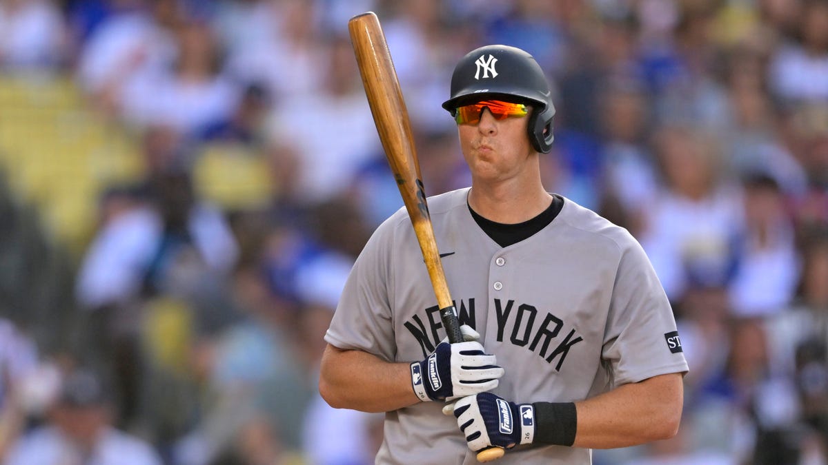DJ LeMahieu’s Managerial Pivot: A Strategic Analysis of the Royal Oak Leprechauns Appointment
