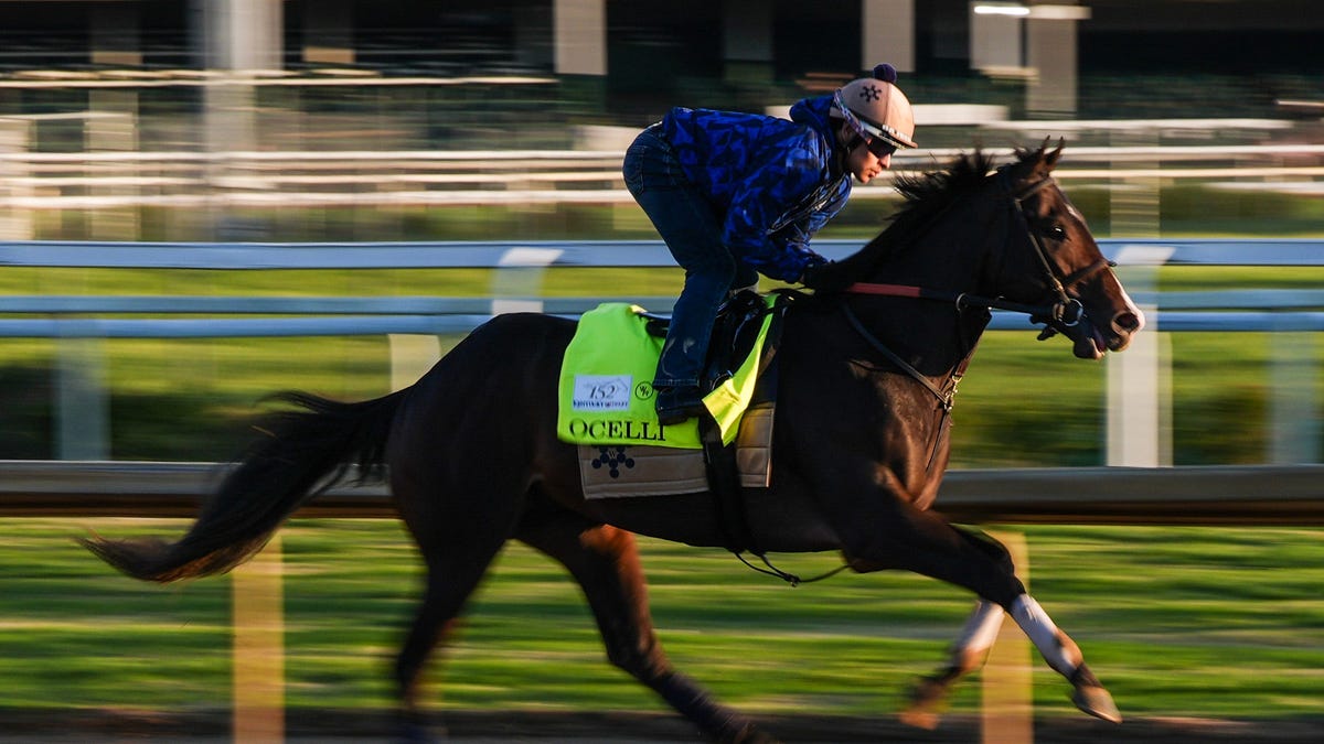 Golden Tempo’s Preakness Withdrawal: A Systemic Pivot in Modern Equine Asset Management