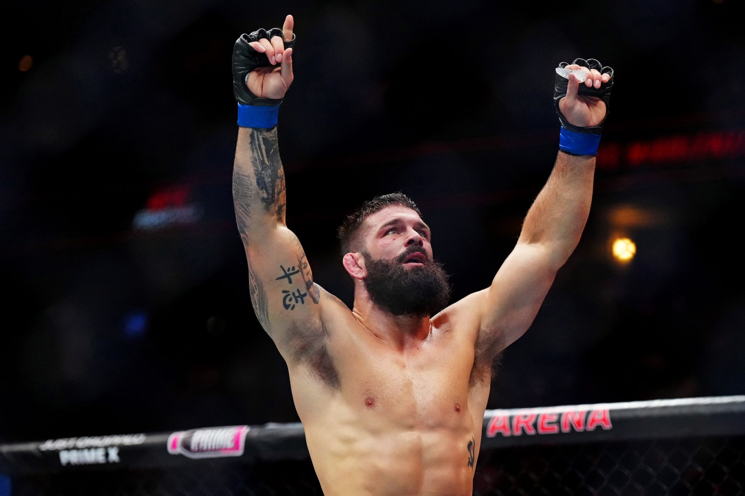 Viana vs. Ardelean: A Strategic Divergence in Strawweight Longevity