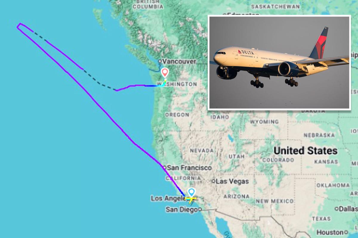 Delta Flight 39 Diversion: Operational, Financial, and Safety Analysis