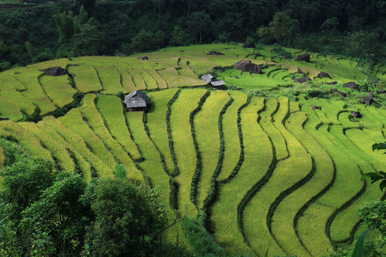 Vietnam - Photo by CongVuphotographer