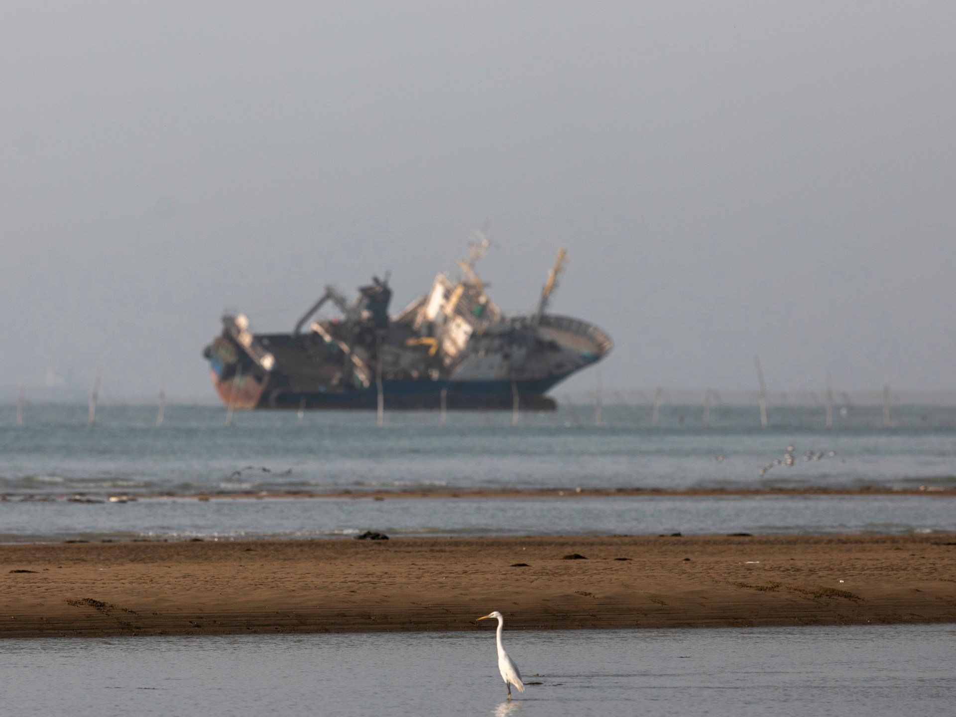 US-Iran 60-Day MOU: Strategic Attrition and Nuclear Diplomacy in the Strait of Hormuz