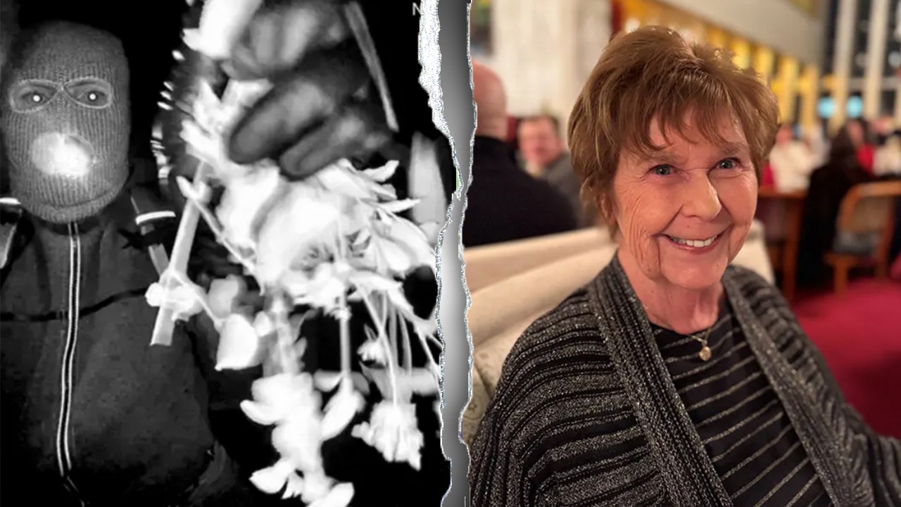 Investigating Nancy Guthrie: Deconstructing Investigative Bias and Criminal Theory