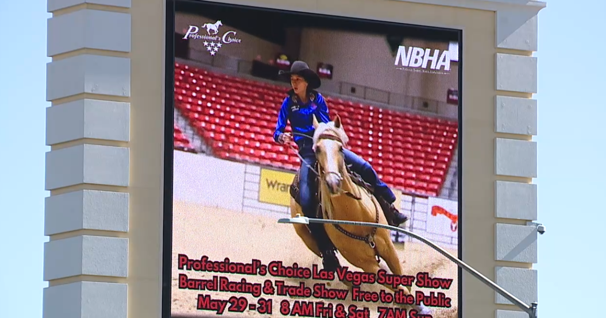 Las Vegas Horse Attack Exposes Equestrian Venue Security and Asset Protection Risks