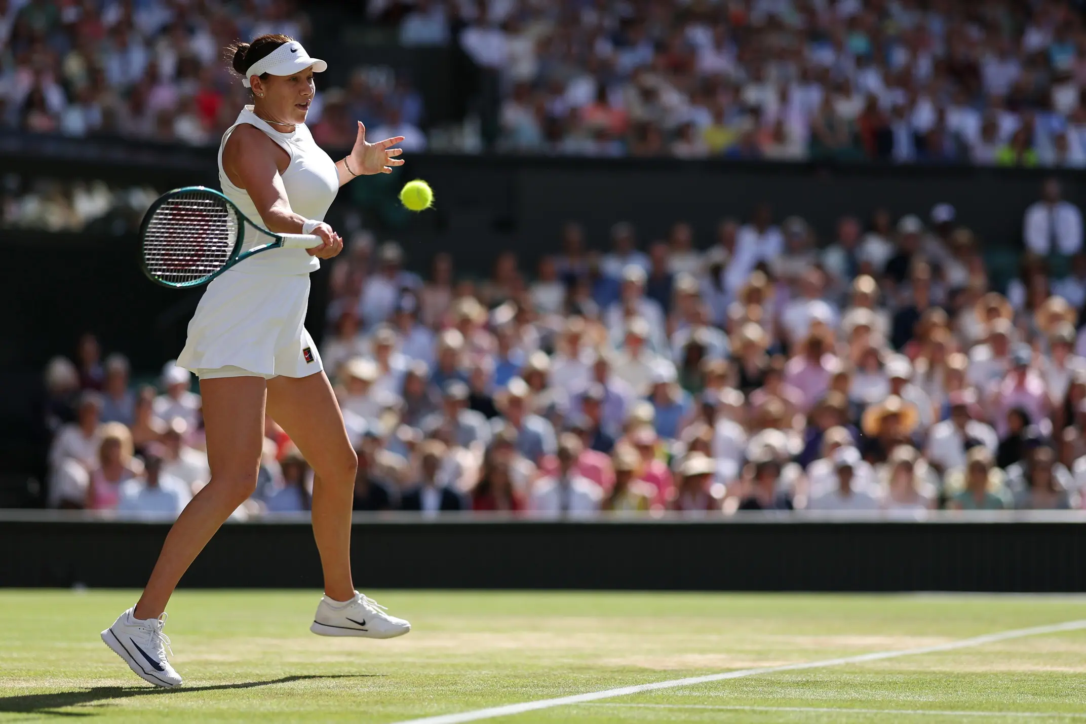 Wimbledon 2026: Anisimova vs. Gjorcheska – Dissecting Structural Disparity & Prediction Market Dynamics