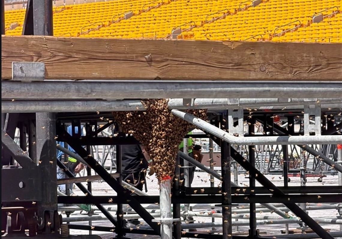 Acrisure Stadium Bee Swarm: A Case Study in Adaptive Event Risk Management & Operational Resilience