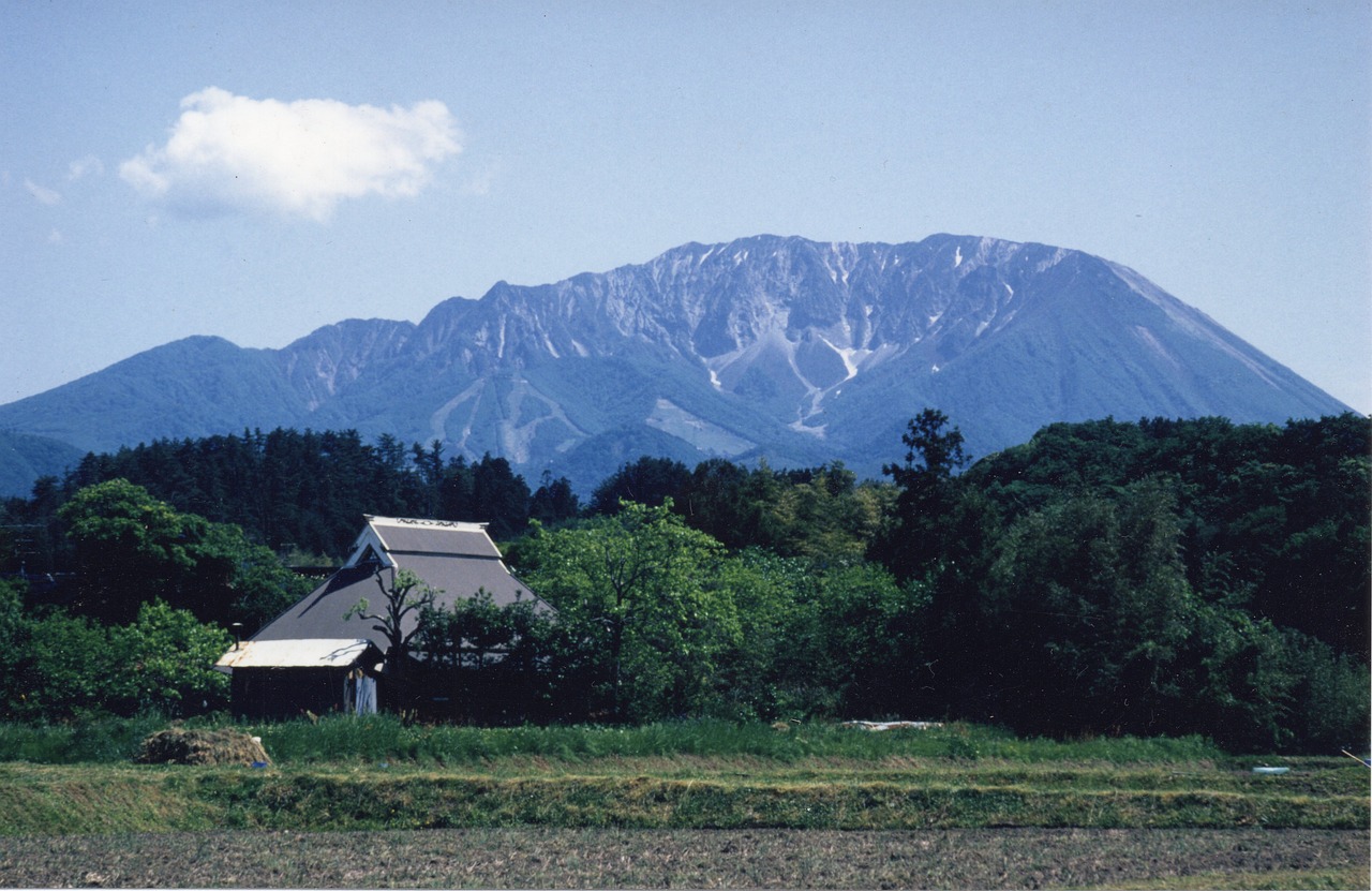 Daizen Maeda - Photo by Beikoku_Oyaji