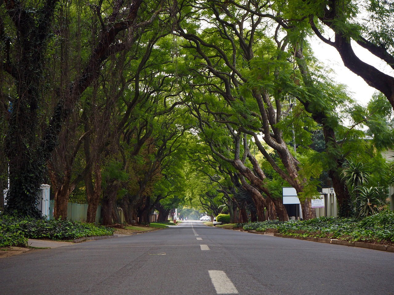 Johannesburg - Photo by lastroyalehelp