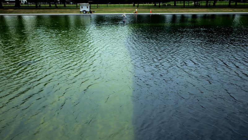 Lincoln Memorial Reflecting Pool: Material Failures and Vandalism Claims Complicate $15M Renovation
