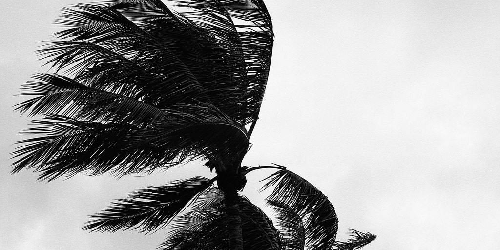 Tropical Storm Arthur: Assessing Gulf Coast Infrastructure and Operational Resilience
