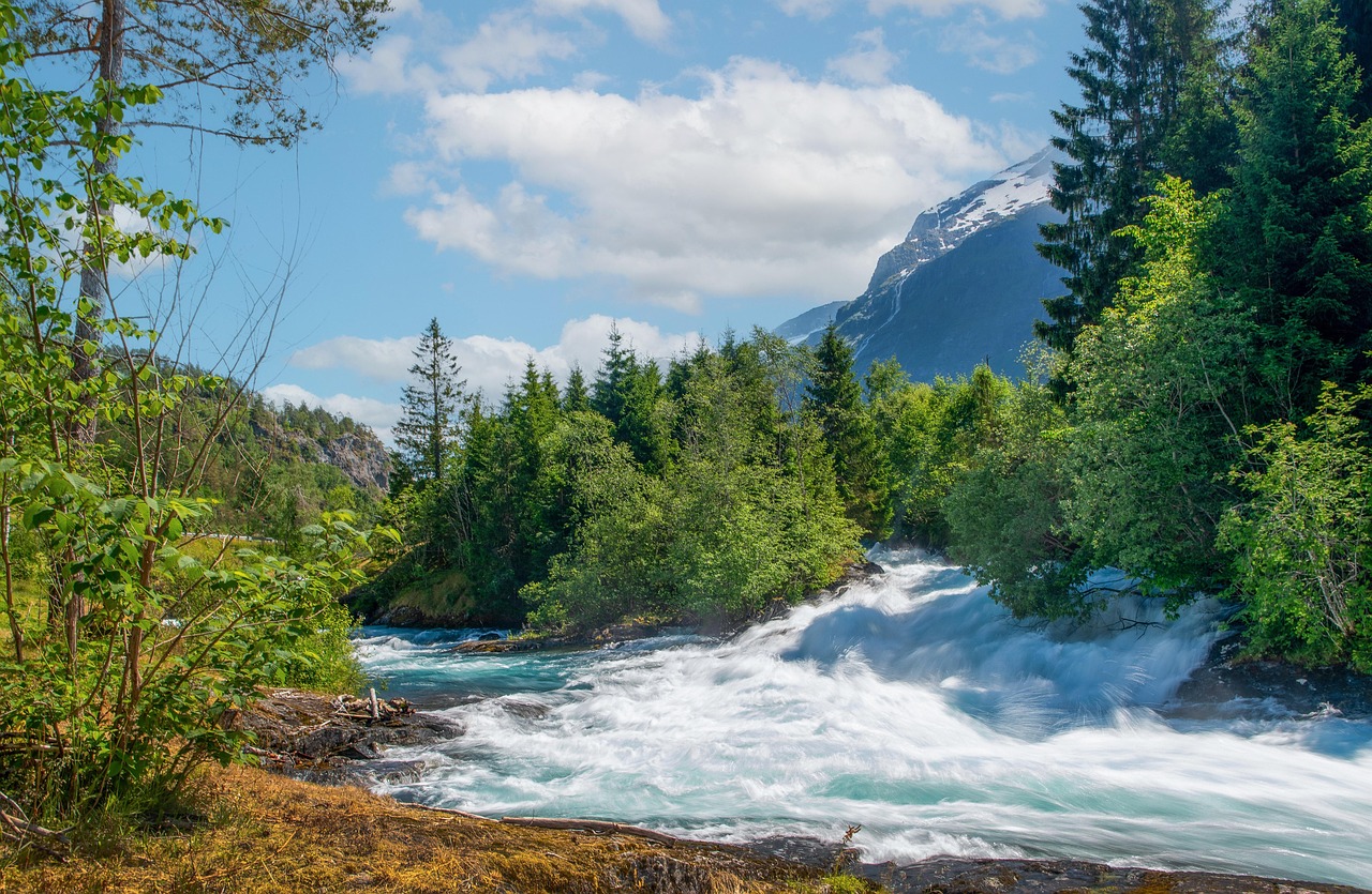 Norway’s World Cup Re-entry: Soft Power, Economic Liquidity, and the Viking Row