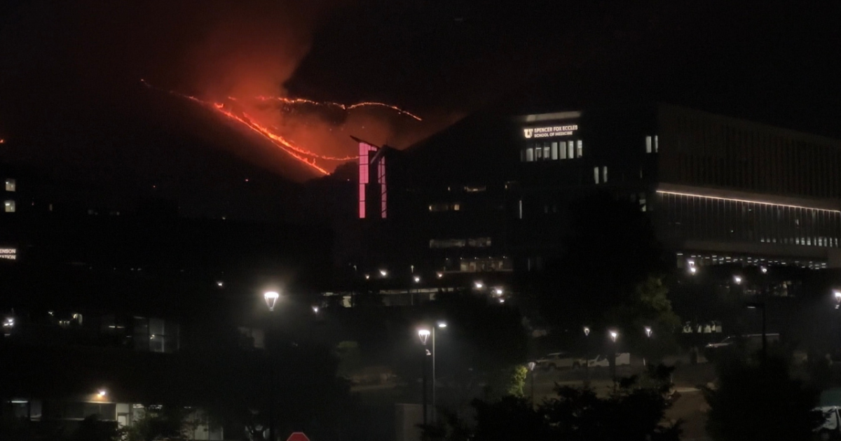 Bonneville Fire: Tactical Response and Urban-Wildland Interface Management
