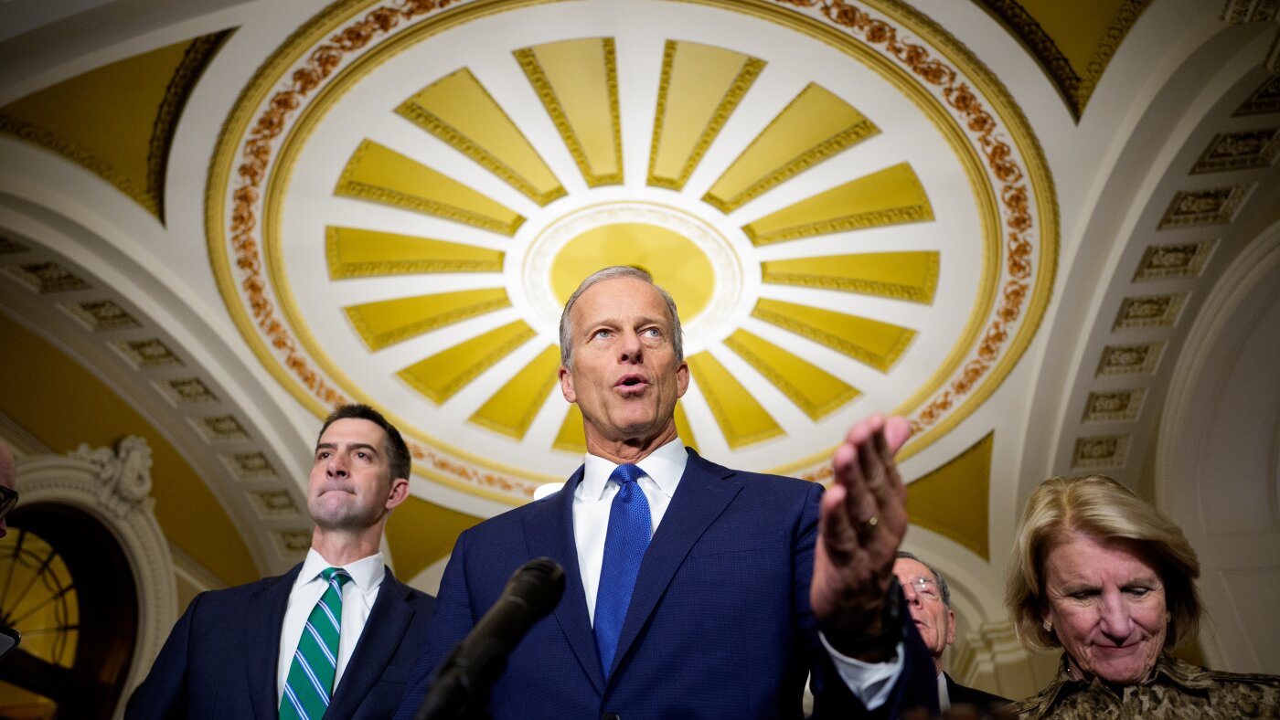 Senate Republicans Block SAVE Act Amid Budget Debate
