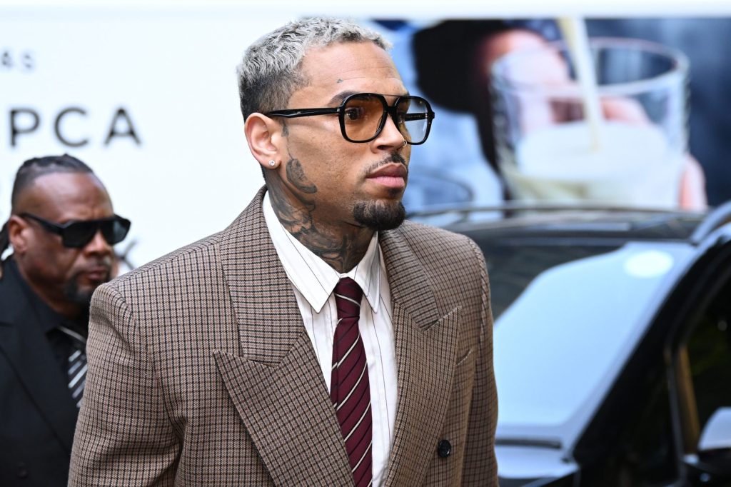 Chris Brown and Black Pyramid LLC Liable for $12.9M in Housekeeper Dog Attack Verdict