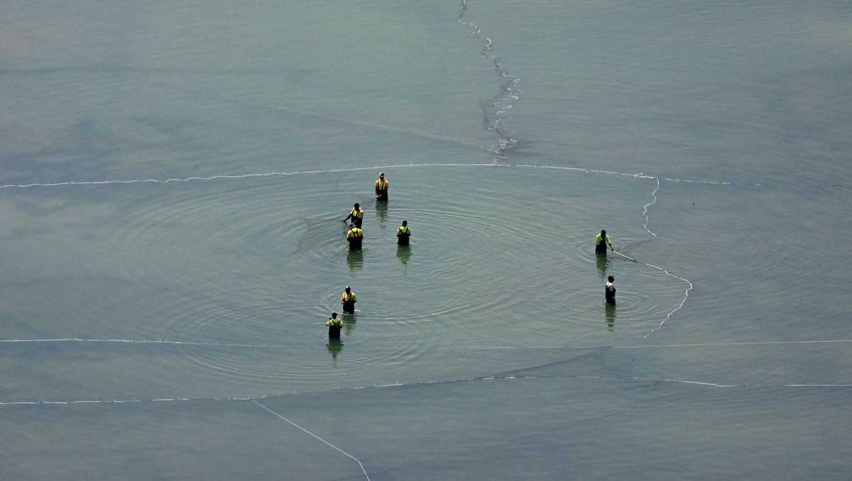 Olympian Indicted for National Mall Reflecting Pool Incident Amid Maintenance Overhaul