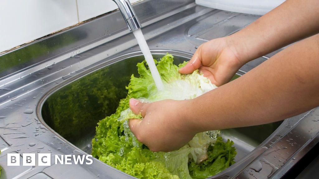 US Cyclospora Outbreak Exposes Critical Food Safety and Surveillance Gaps