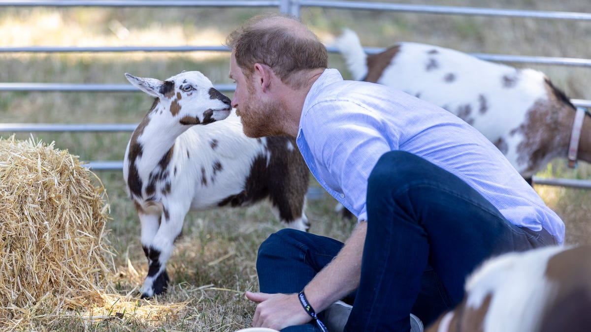 The Asymmetric Soft Power of Prince Harry’s July 2026 UK Return