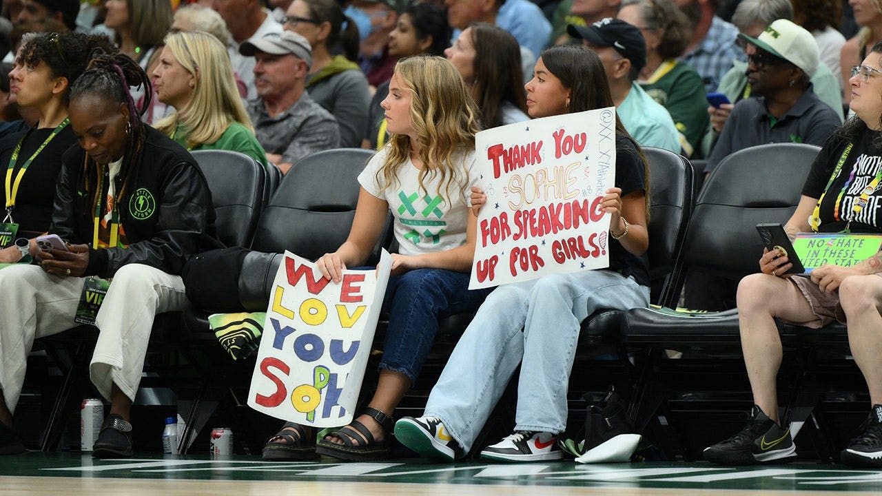 WNBA Sanctions Seattle Storm Co-Owner: A Critical Analysis of Executive Governance and Political Friction