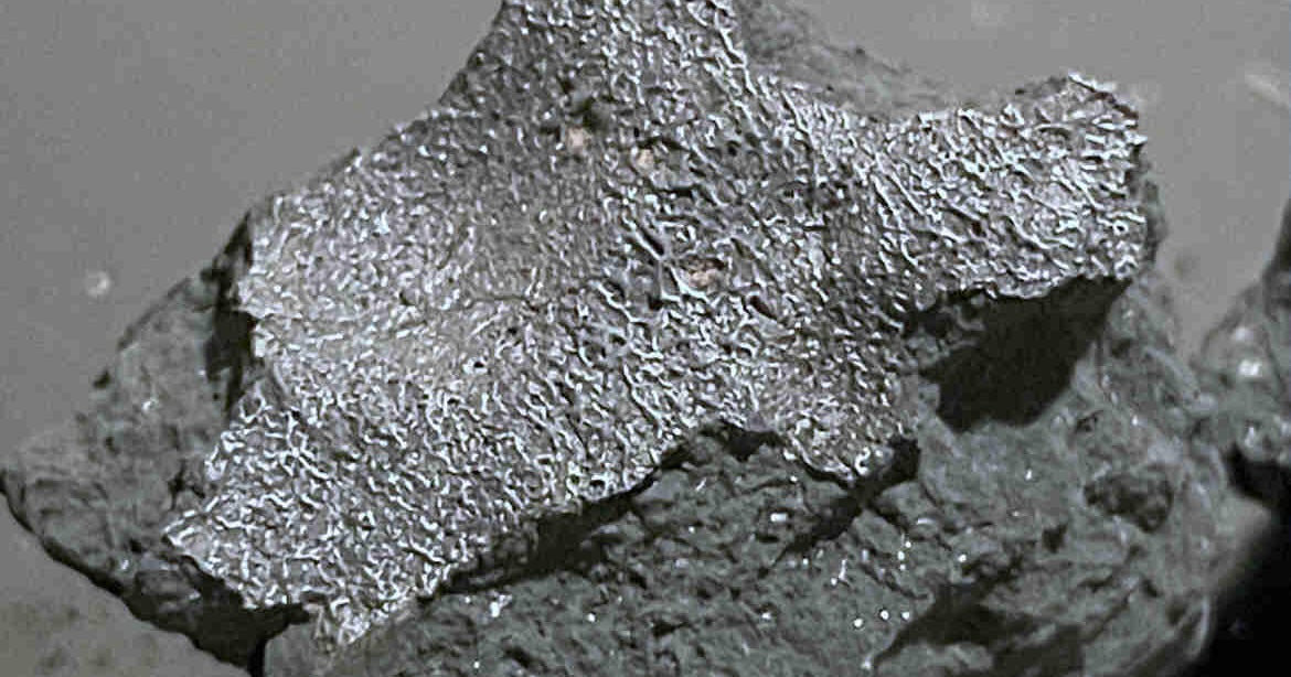 New Jersey's Hillsborough Meteorite: CM1/2 Chondrite Unlocks Primitive Asteroid Brines & Prebiotic Origins