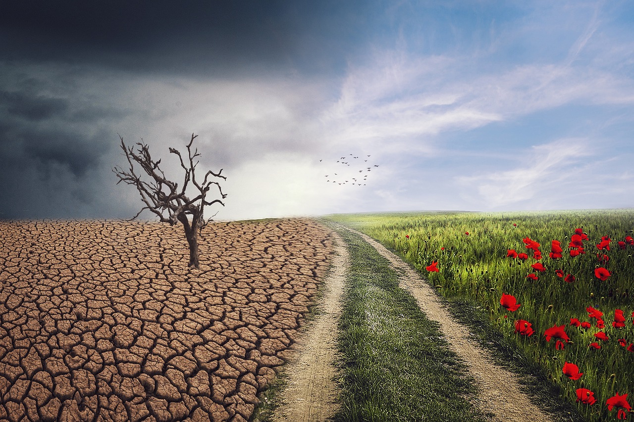 Climate Crisis Exponentially Amplifies European Wildfires
