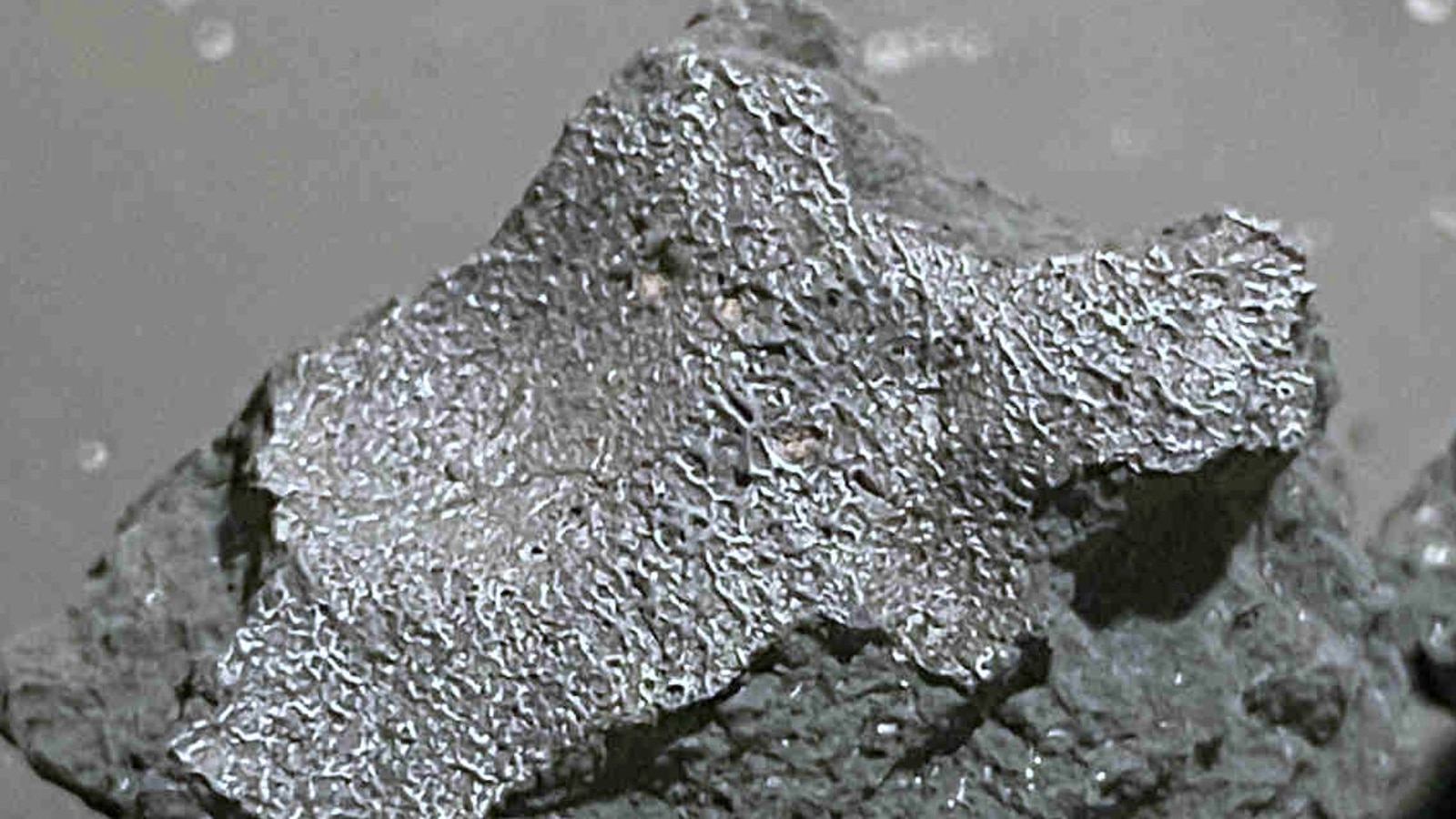 New Jersey's Hillsborough Meteorite: CM1/2 Chondrite Unlocks Primitive Asteroid Brines & Prebiotic Origins