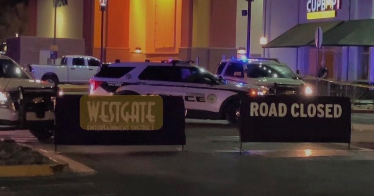 Security Infrastructure and Economic Resilience: Analyzing the Westgate Shooting Response