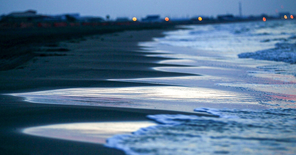 Louisiana Vibrio Vulnificus Outbreak: Fatalities Surpass Ten-Year Baseline