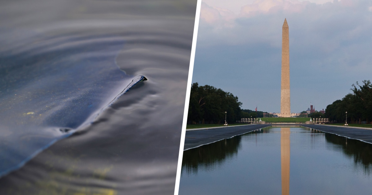 Lincoln Memorial Pool Liner Failure Exposed by Internal NPS Warnings Amid Vandalism Charges