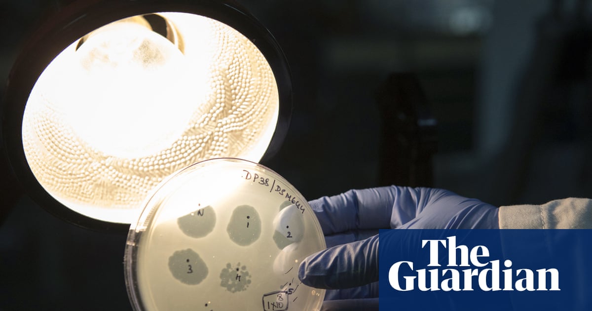 AI-Designed Bacteriophages Created in Lab Milestone