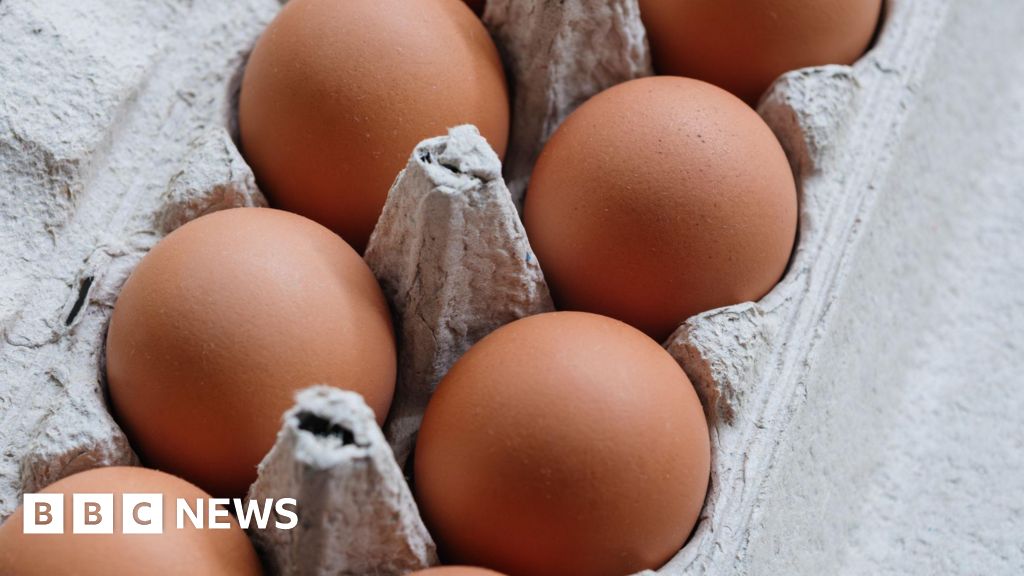 Strategic Analysis of the UK Salmonella Outbreak Linked to International Egg Supply Chains