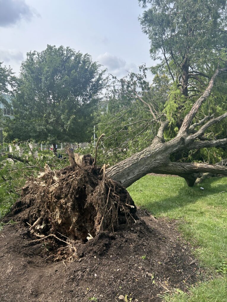 Columbus Meteorological Forensic Analysis: NWS Confirms EF1 Tornado and 100 MPH Straight-Line Winds
