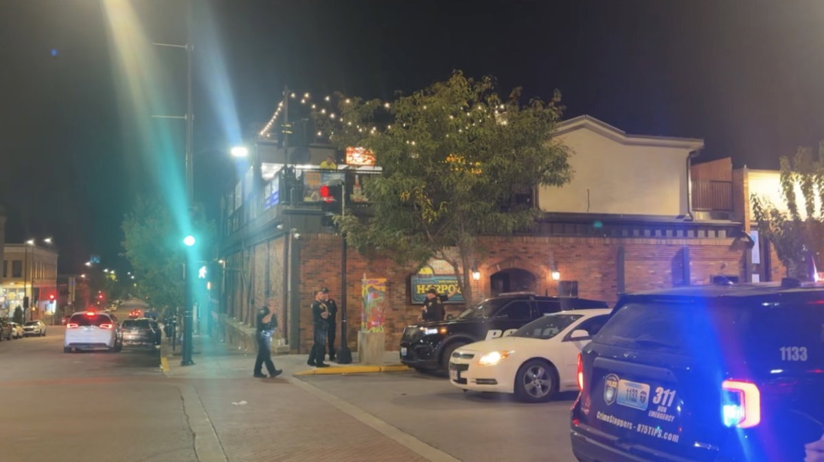 Harpo's Rooftop Fall: Analytical Review of Premises Liability and Safety Protocols