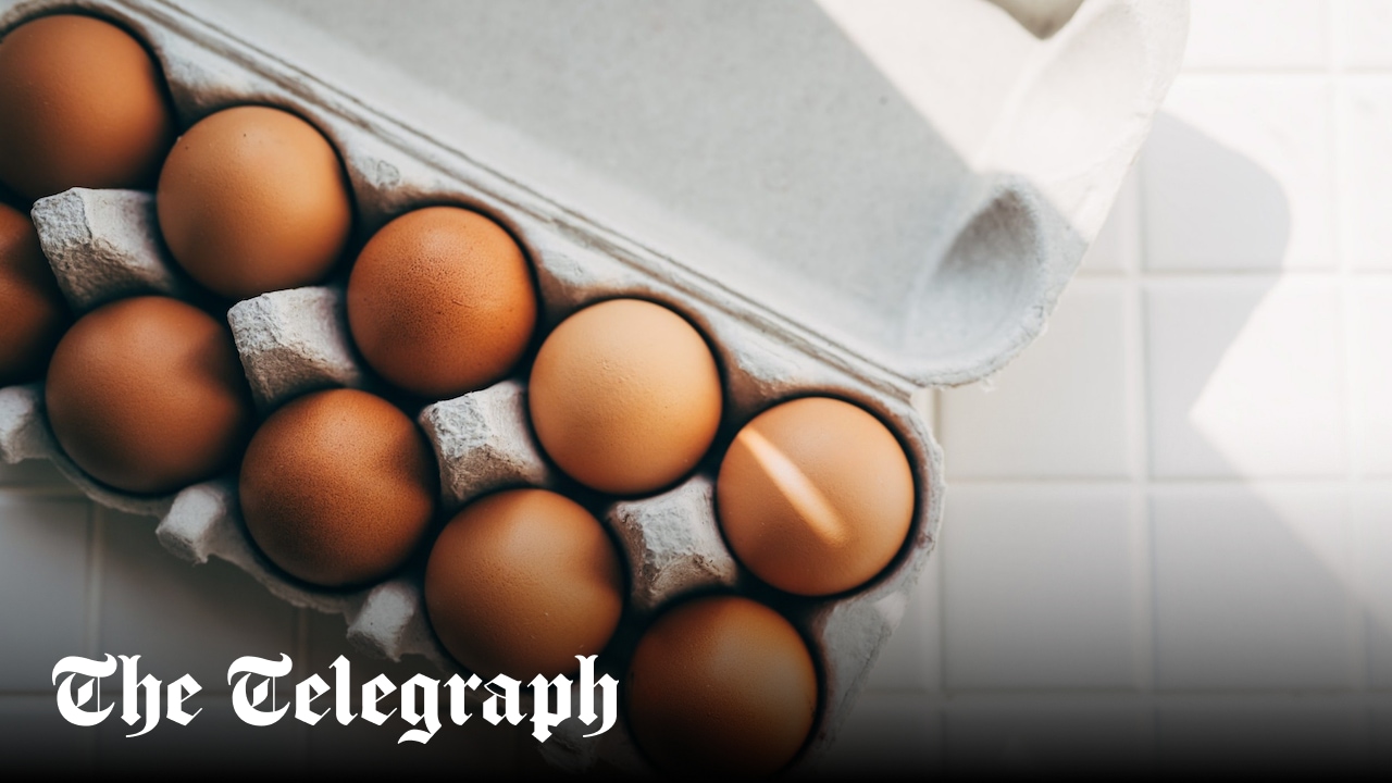 Strategic Analysis of the UK Salmonella Outbreak Linked to International Egg Supply Chains