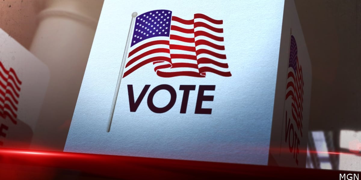 Wisconsin 2026 Partisan Primary: Strategic Realignment and Institutional Risks
