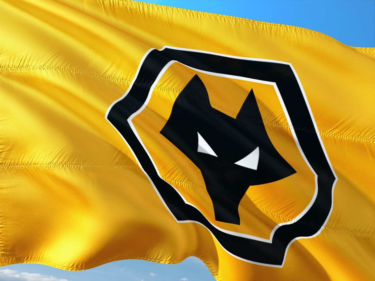 Wolves Host Stoke at Molineux: Championship Stakes and Broadcast Directives