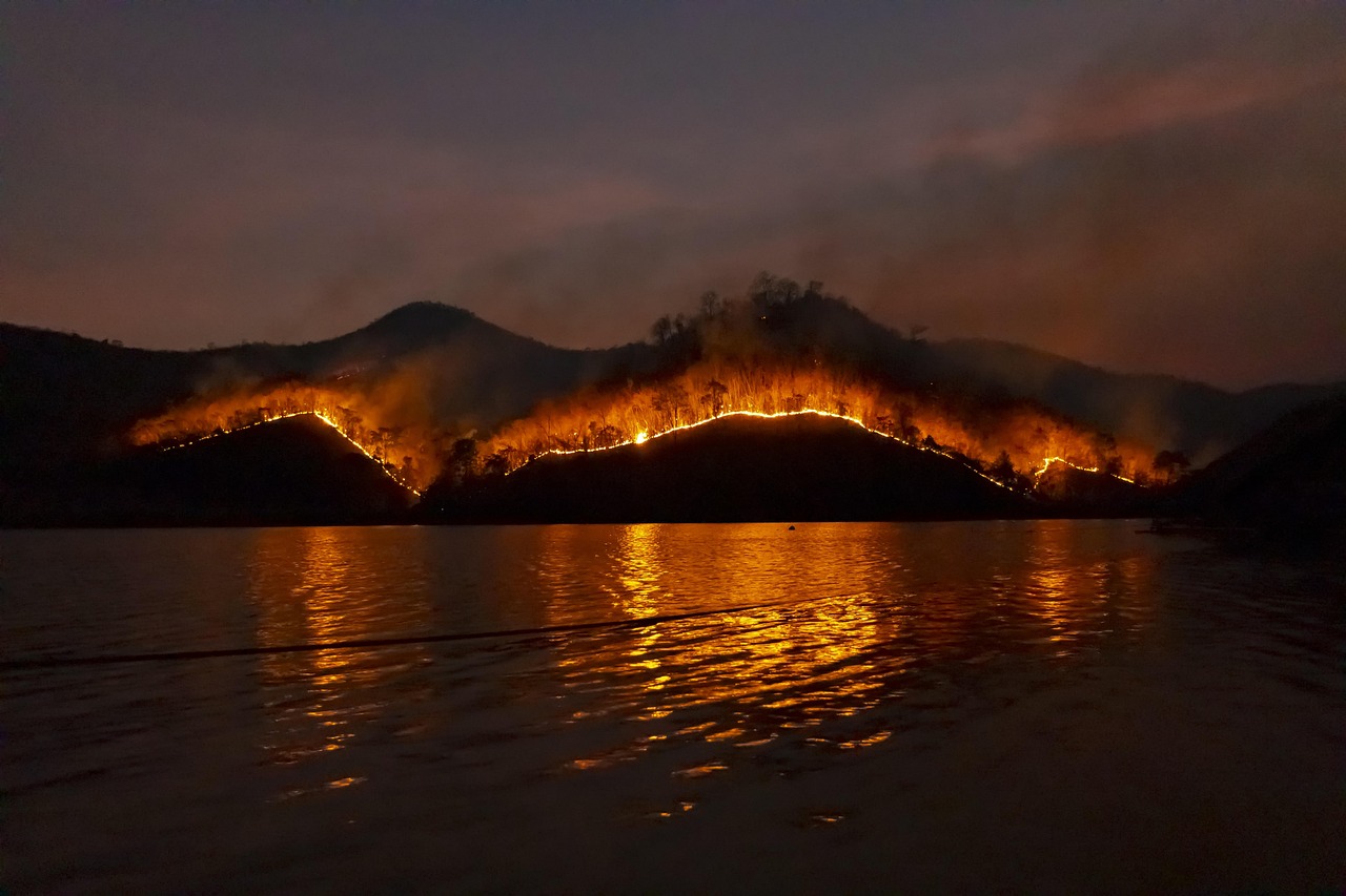 Wildfire Recovery: Policy, Urban Design, and Resilience