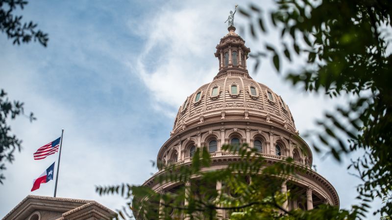 Texas Birth Cases Illuminate Surrogacy, Disability Rights Legal Conflicts