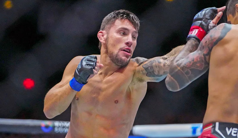 UFC 330 Preview: Barboza Faces Ribovics Amid Retirement Considerations