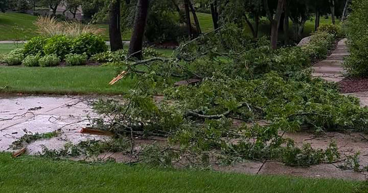 Wisconsin Storms Spark Widespread Power Outages for Over 40,000 Customers