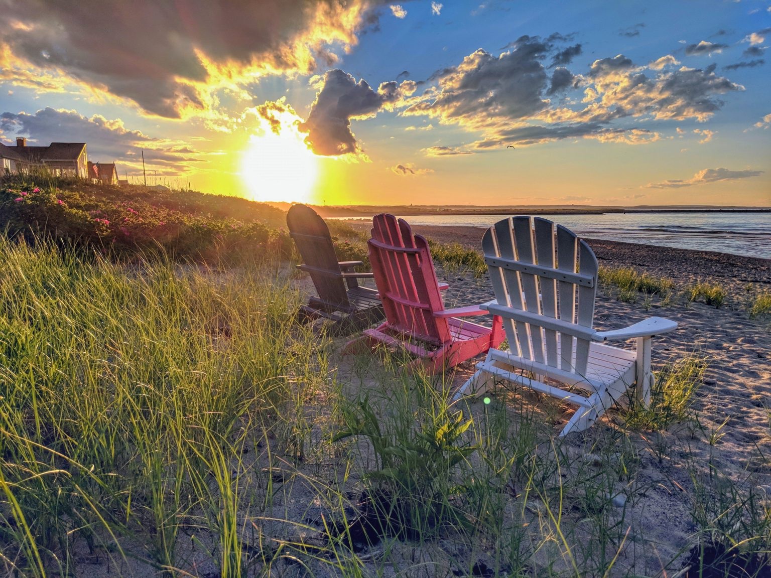 Falmouth Road Race 2026: Logistics and Elite Field Unveiled