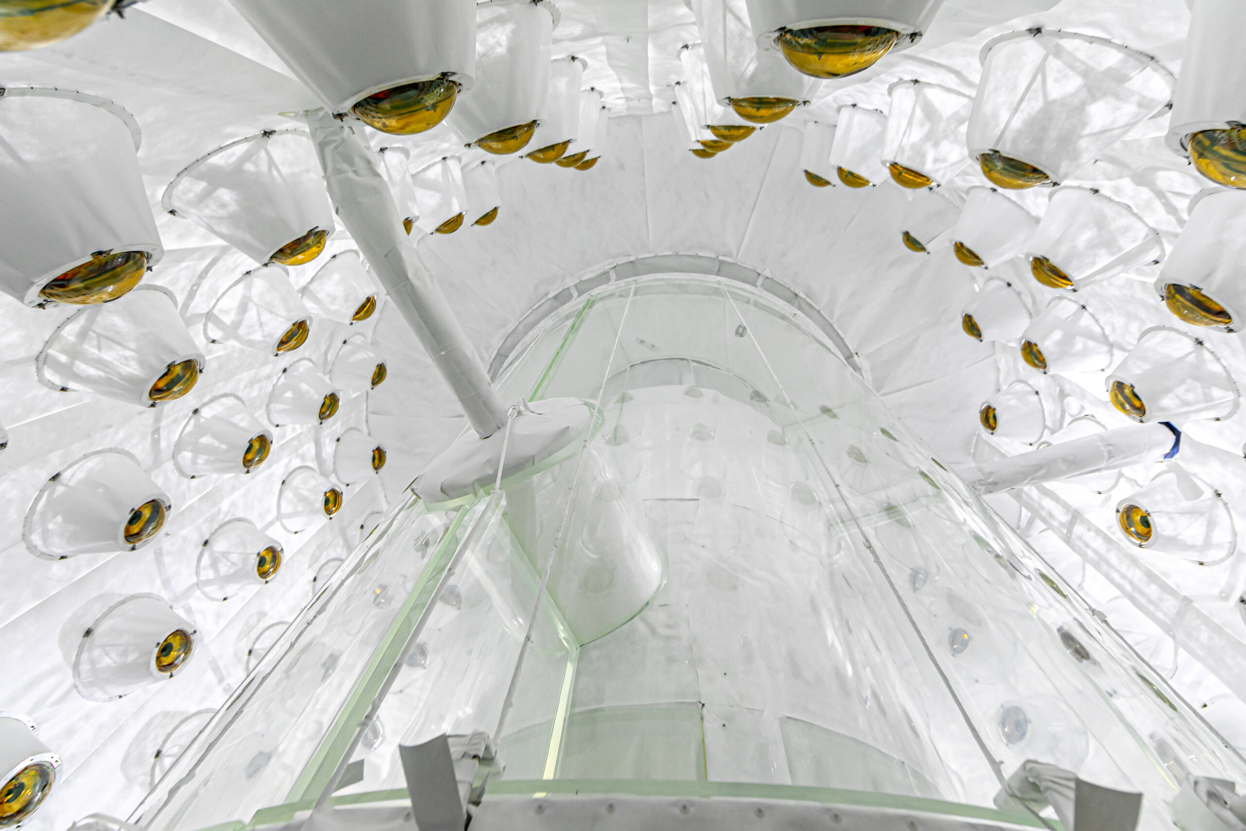 LUX-ZEPLIN Experiment Records Anomalous Particle Interaction: A Statistical Benchmark in Dark Matter Detection